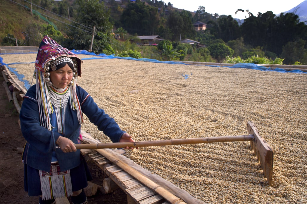 A Coffee Journey – 10 Steps From the Seed to Your Cup – 4