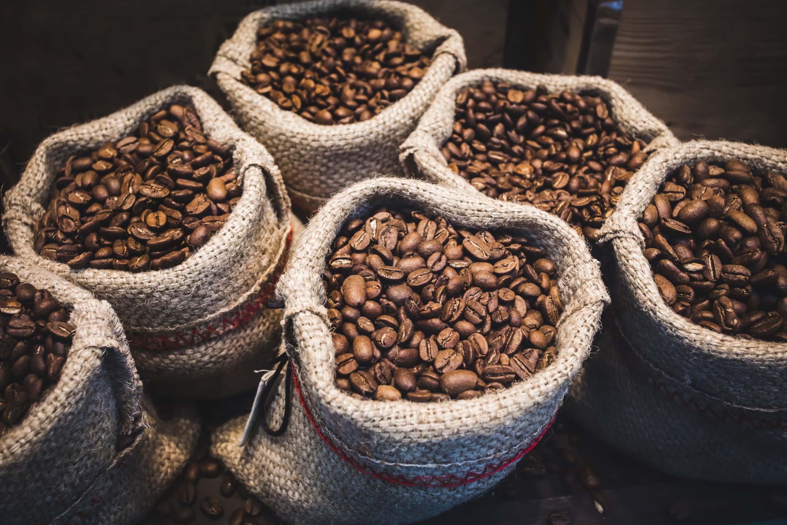Arabica and Robusta Coffee –Top 10 Arabica vs. Robusta Differences – 1