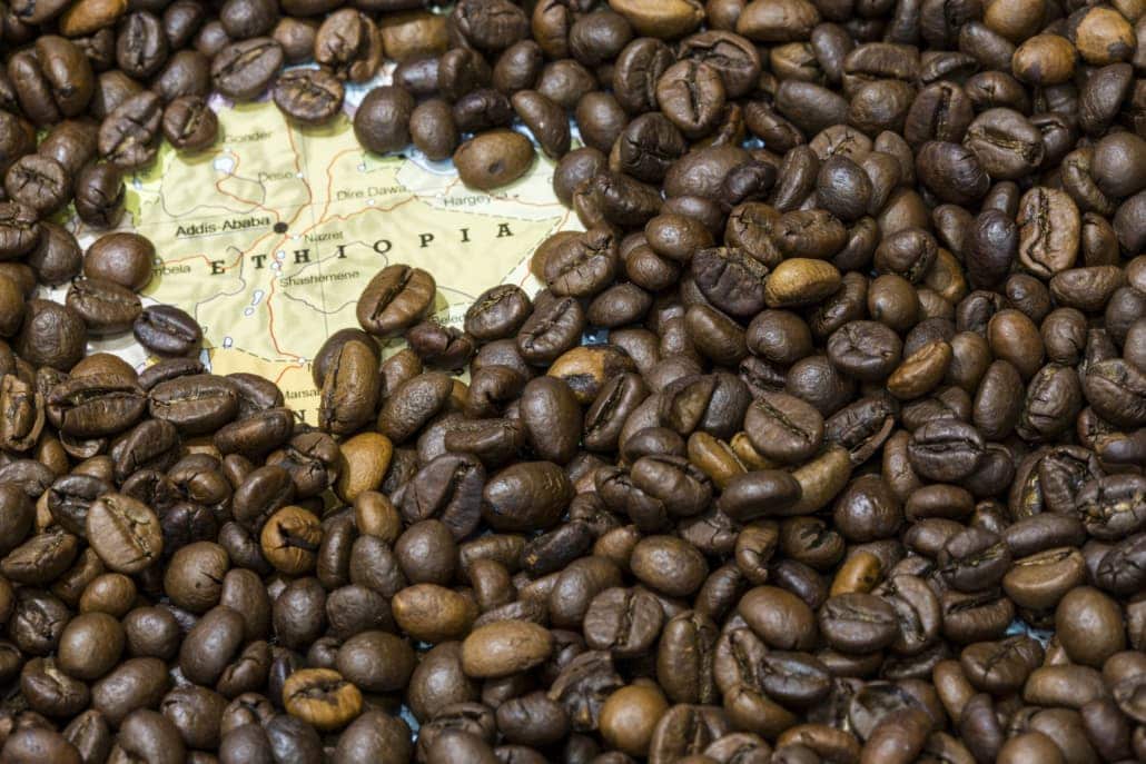 Arabica and Robusta Coffee –Top 10 Arabica vs. Robusta Differences – 11