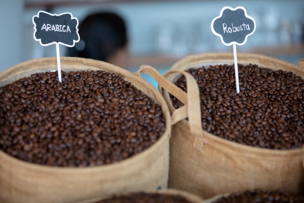 Arabica and Robusta Coffee –Top 10 Arabica vs. Robusta Differences – 6