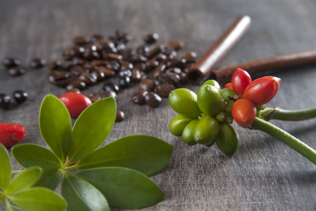 Arabica and Robusta Coffee –Top 10 Arabica vs. Robusta Differences – 8