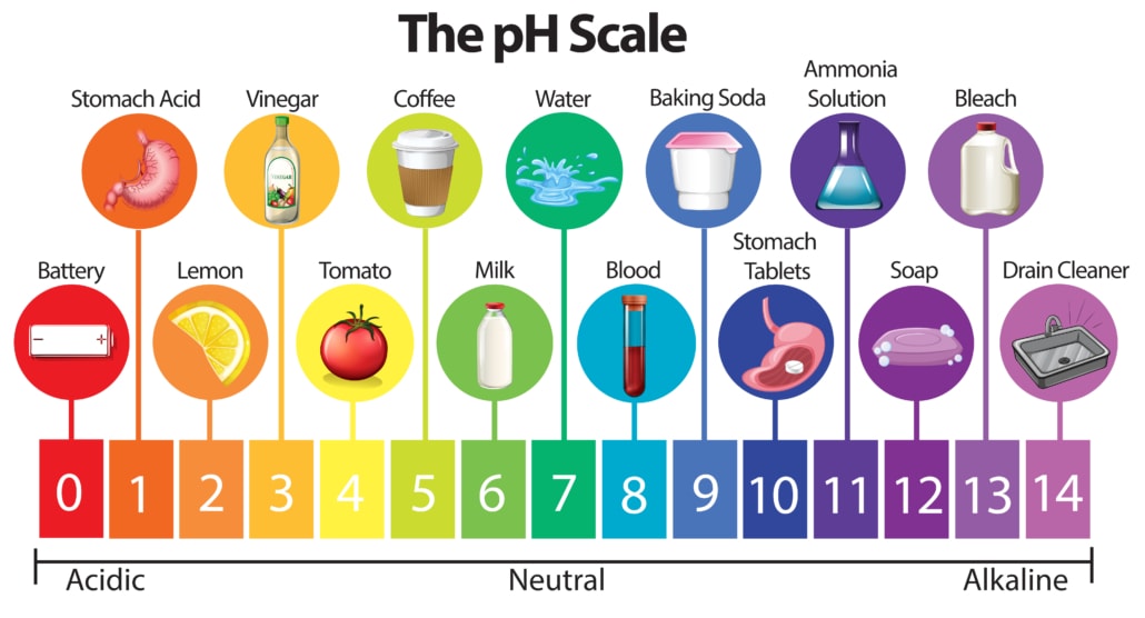 Coffee Acidity – Everything You Need to Know – 2