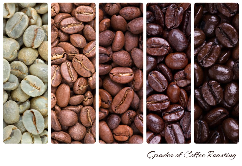 Coffee Basics – Everything to Know About Types, Roasts & Storage – 4
