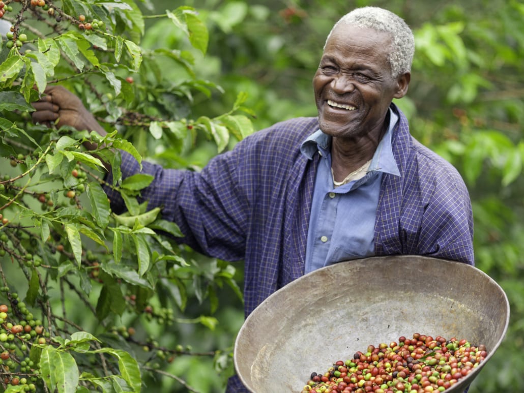 Coffee and Fair Trade – Is Fair Trade Coffee Good or Bad – 4
