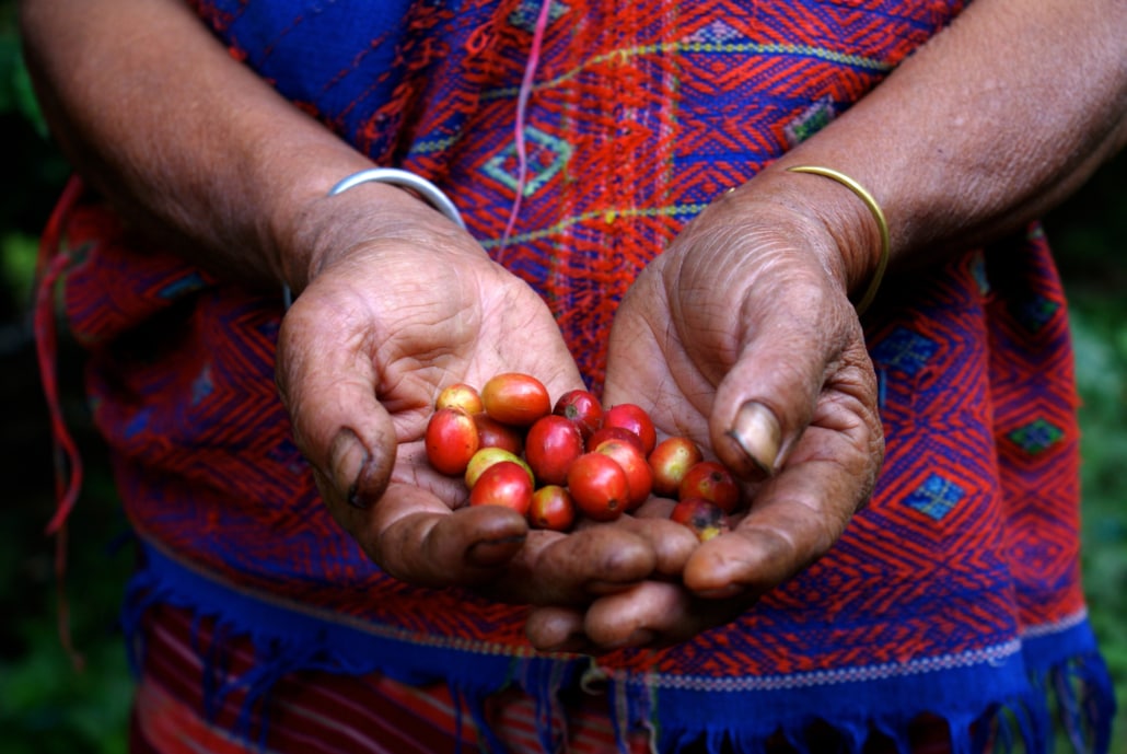 Coffee and Fair Trade – Is Fair Trade Coffee Good or Bad – 6