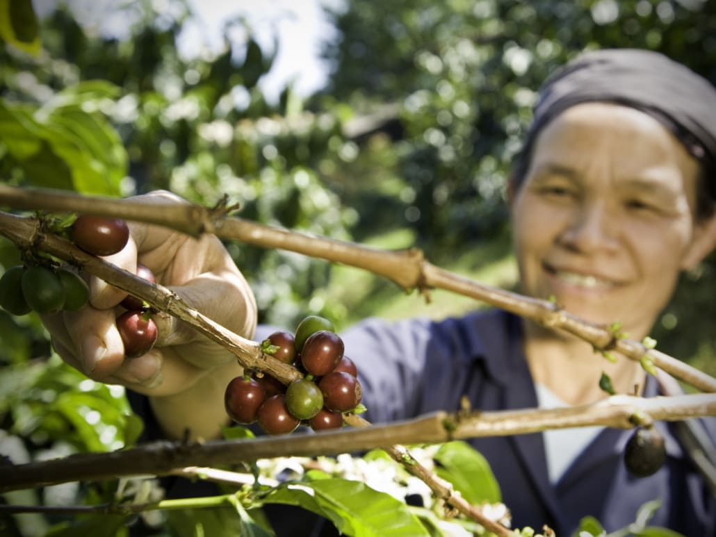 Coffee and Fair Trade – Is Fair Trade Coffee Good or Bad – 7