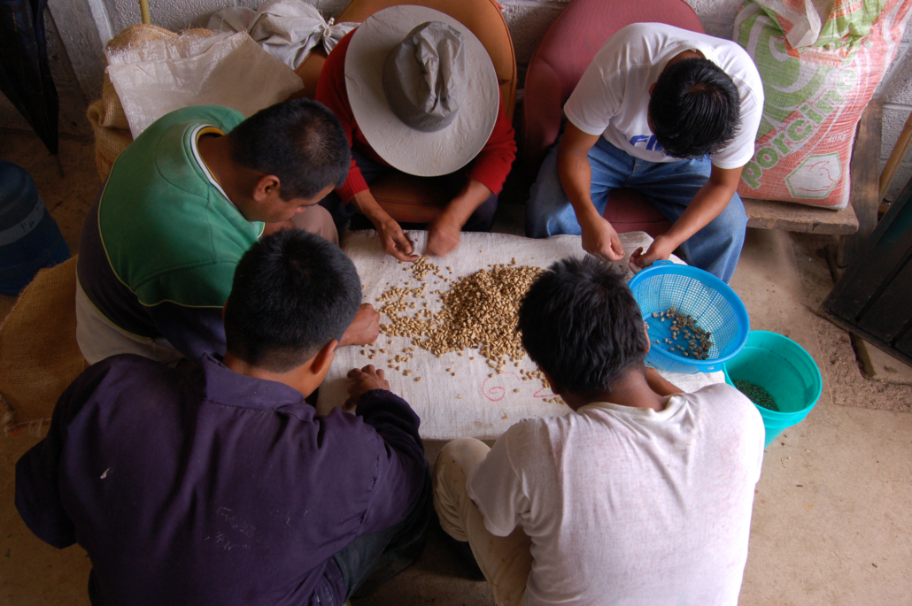 Coffee and Fair Trade – Is Fair Trade Coffee Good or Bad – 8
