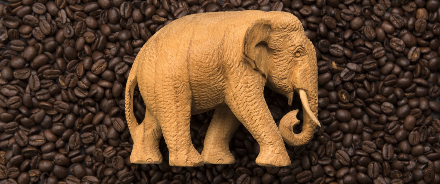 Elephant coffee – The new luxury coffee – How great is it? - 1