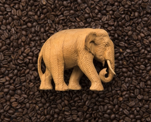 Elephant coffee – The new luxury coffee – How great is it? - 1