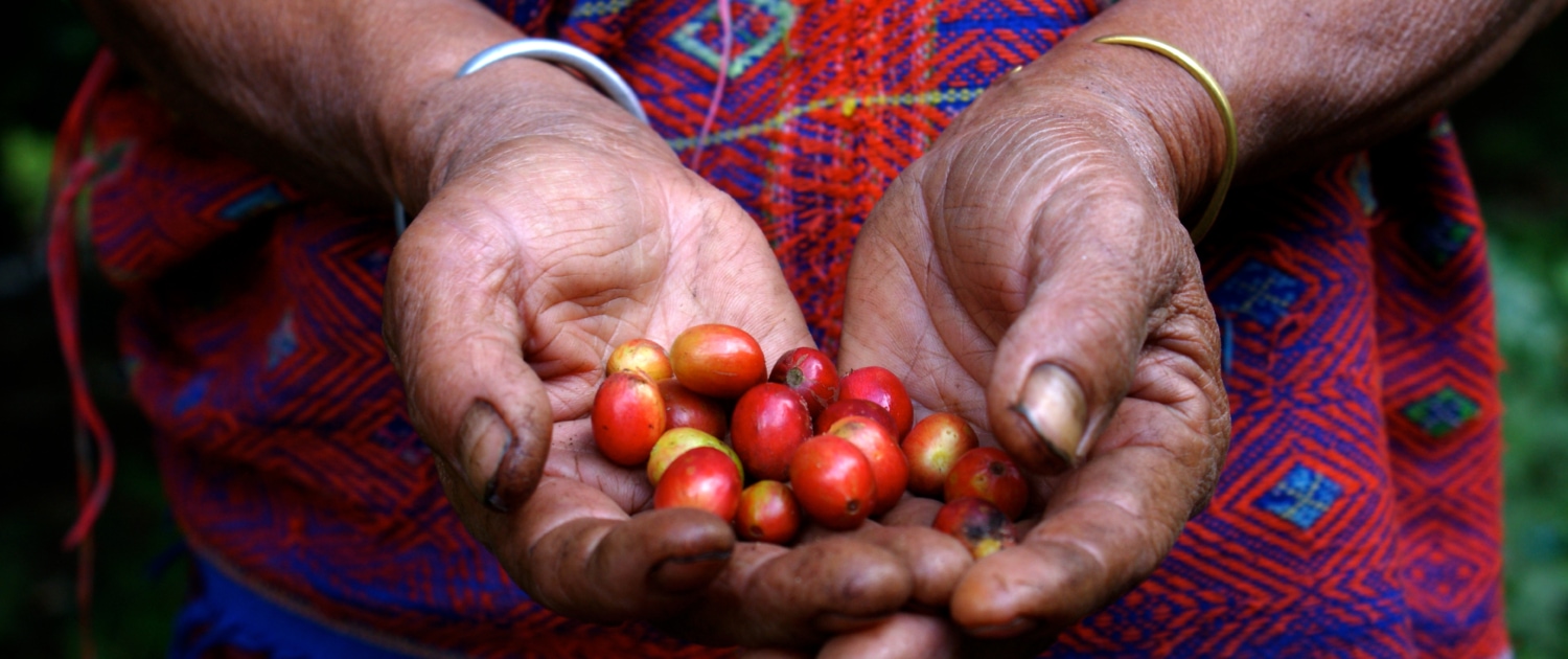 Fair Trade Coffee – What Does it Really Mean -1