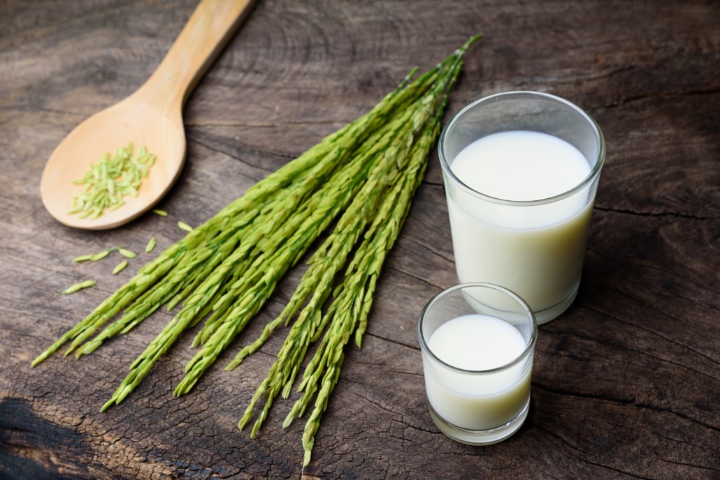 Great Milk Alternatives – Your 9 Best Nondairy Substitutes for Milk – 7