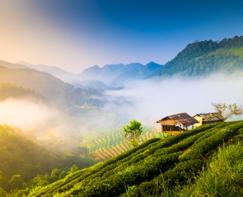 Beautiful_Northern_Thailand_Panorama_Home_Of_Coffee_Siam_Hills_Coffee_Thailand_Coffee