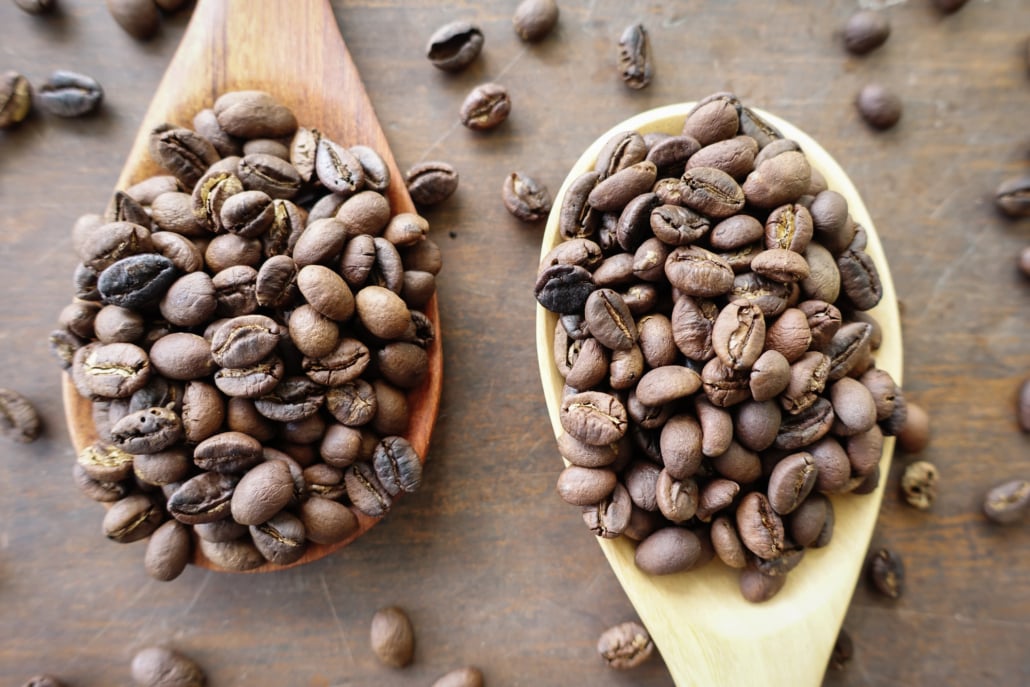 The Coffee Bean – Its Anatomy and Everything You Need to Know – 6