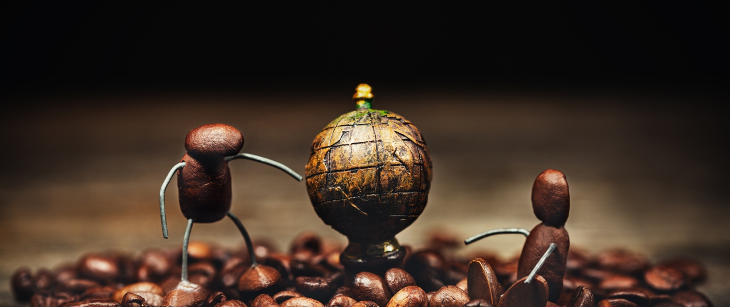 Top 10 Strangest Coffee Types & Beans - Special Coffee Experiences – 1