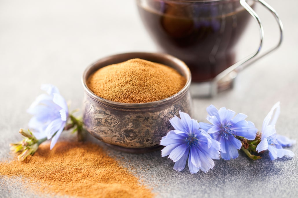 What is Chicory Coffee – A Healthy Alternative to Coffee or Not –6