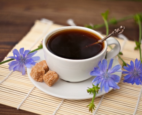 What is Chicory Coffee – A Healthy Alternative to Coffee or Not – 1