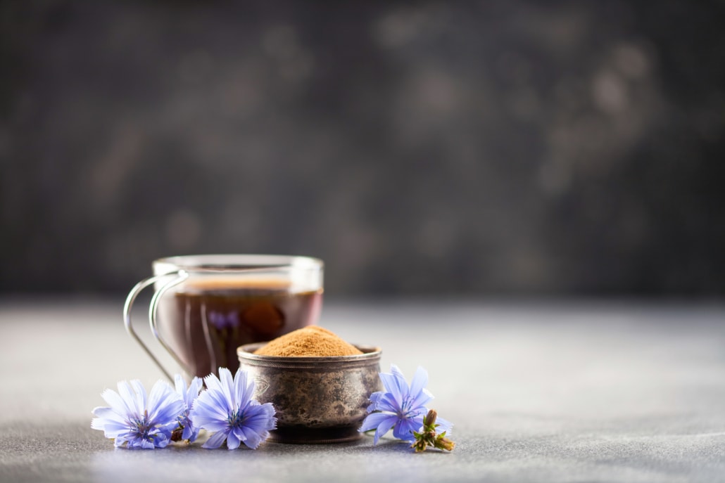 What is Chicory Coffee – A Healthy Alternative to Coffee or Not –3