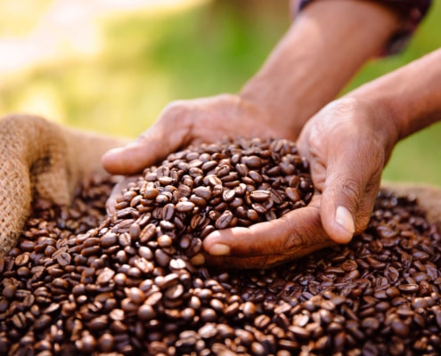What is Specialty Coffee – Everything You Need to Know – 1