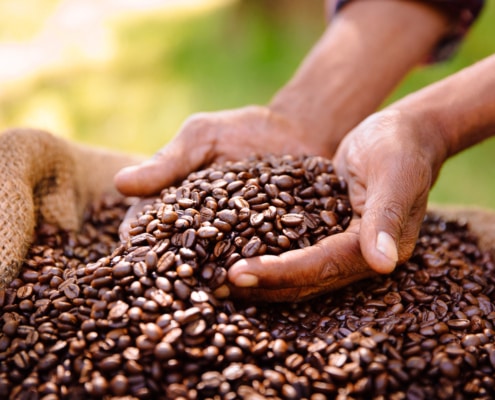 What is Specialty Coffee – Everything You Need to Know – 1